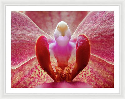 Inner Ridge of an Orchid Blossom / Art Photo - Framed Print