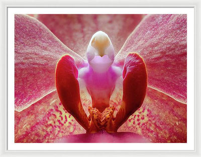 Inner Ridge of an Orchid Blossom / Art Photo - Framed Print