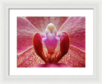 Inner Ridge of an Orchid Blossom / Art Photo - Framed Print