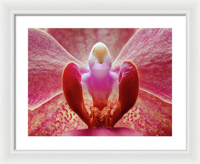 Inner Ridge of an Orchid Blossom / Art Photo - Framed Print