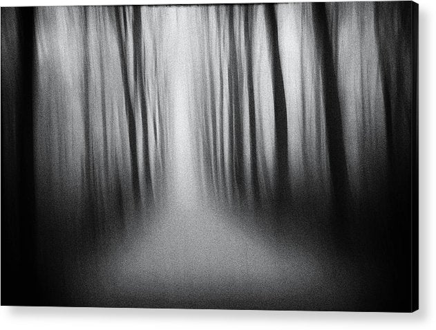 Lost / Art Photo - Acrylic Print