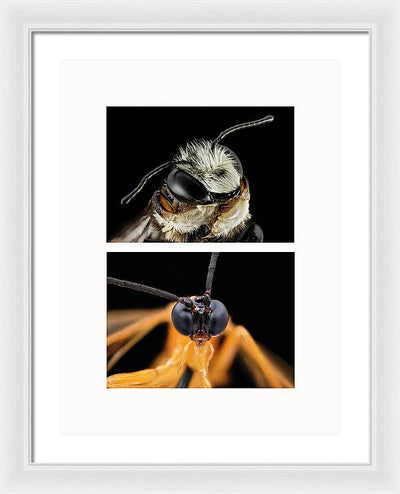 Macro #372 - diptych / Art Photo - Framed Print