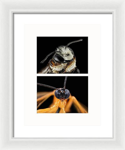 Macro #372 - diptych / Art Photo - Framed Print