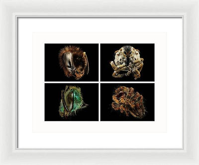 Macro #373 / Art Photo - Framed Print