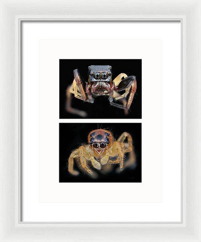 Macro #375 - diptych / Art Photo - Framed Print