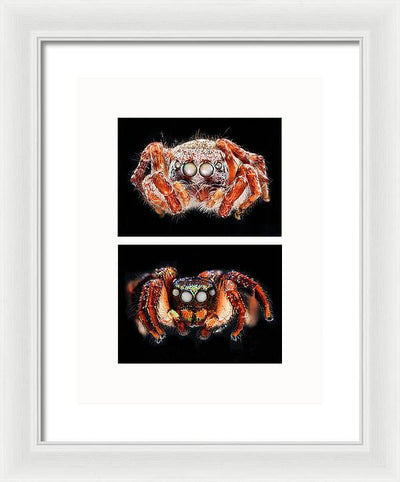 Macro #376 - diptych / Art Photo - Framed Print