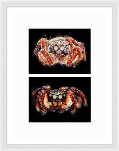 Macro #376 - diptych / Art Photo - Framed Print