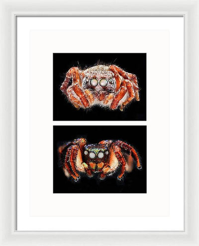 Macro #376 - diptych / Art Photo - Framed Print