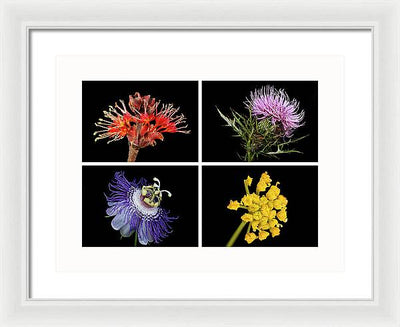 Flowers, Macro #378 / Art Photo - Framed Print