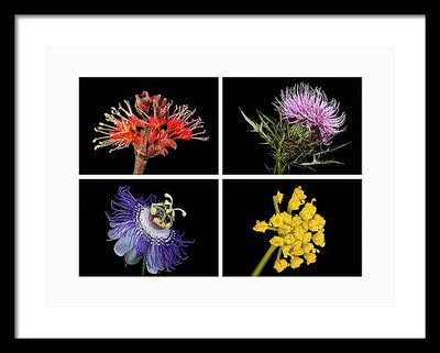 Flowers, Macro #378 / Art Photo - Framed Print