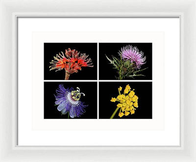 Flowers, Macro #378 / Art Photo - Framed Print