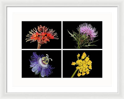 Flowers, Macro #378 / Art Photo - Framed Print