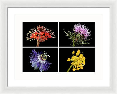 Flowers, Macro #378 / Art Photo - Framed Print