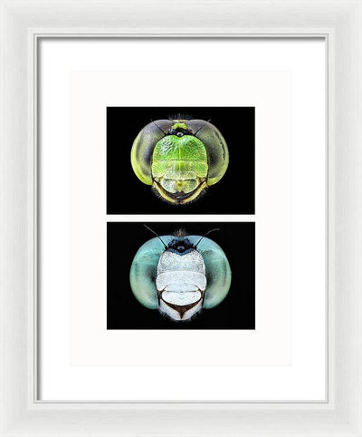 Macro #379 - diptych / Art Photo - Framed Print