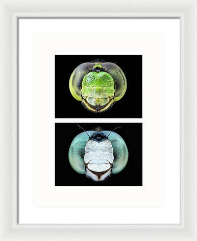 Macro #379 - diptych / Art Photo - Framed Print