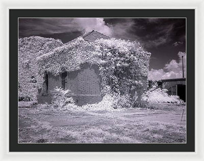 McMillan Reservoir, Washington DC / Art Photo - Framed Print