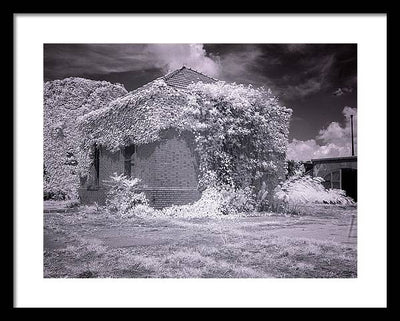 McMillan Reservoir, Washington DC / Art Photo - Framed Print