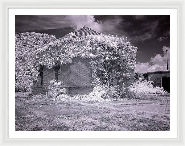 McMillan Reservoir, Washington DC / Art Photo - Framed Print