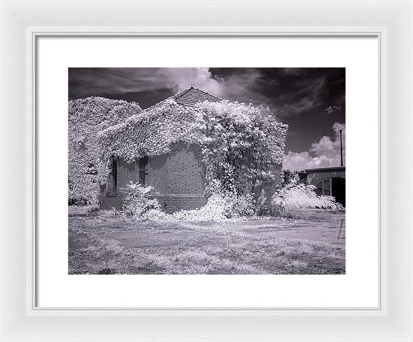 McMillan Reservoir, Washington DC / Art Photo - Framed Print