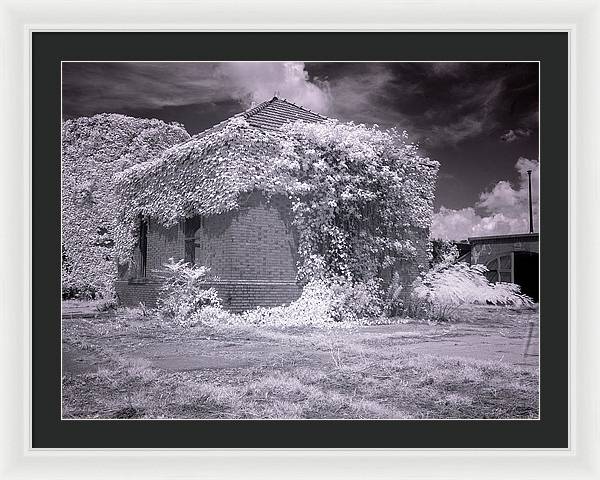 McMillan Reservoir, Washington DC / Art Photo - Framed Print