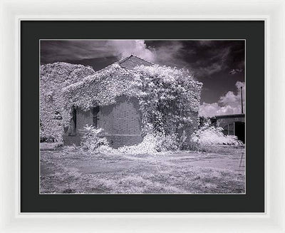 McMillan Reservoir, Washington DC / Art Photo - Framed Print