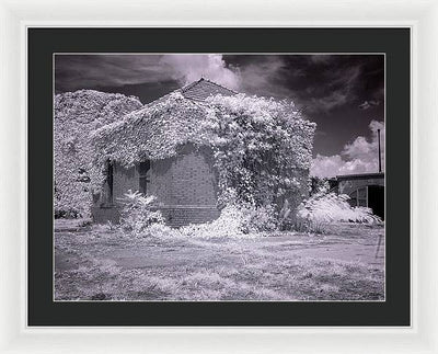 McMillan Reservoir, Washington DC / Art Photo - Framed Print