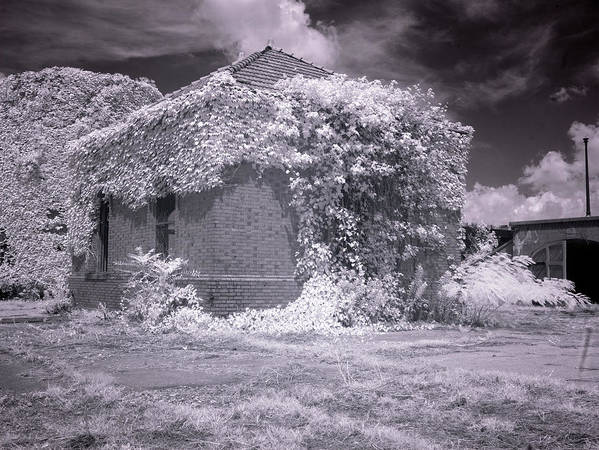 McMillan Reservoir, Washington DC / Art Photo - Art Print