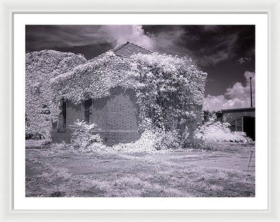 McMillan Reservoir, Washington DC / Art Photo - Framed Print