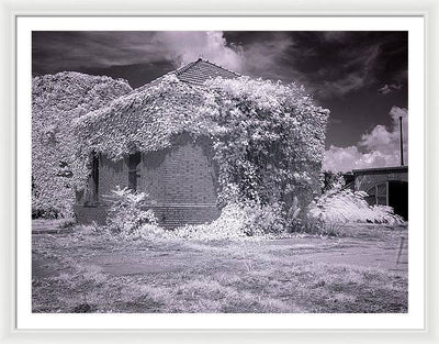 McMillan Reservoir, Washington DC / Art Photo - Framed Print