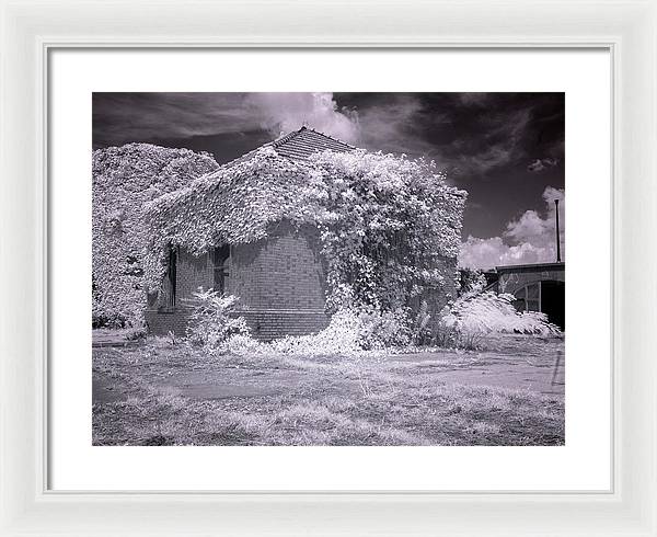 McMillan Reservoir, Washington DC / Art Photo - Framed Print