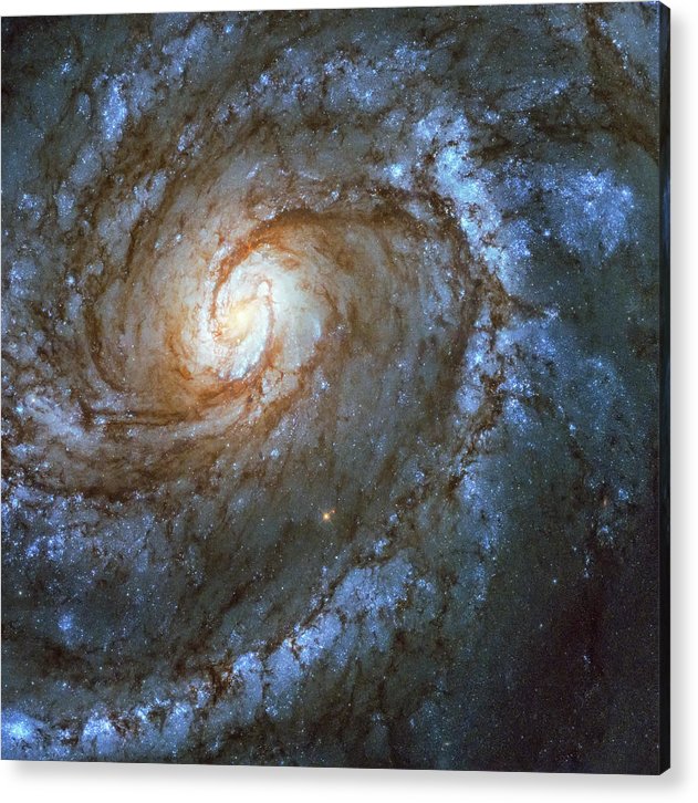 Messier 100, Spiral Galaxy / Art Photo - Acrylic Print