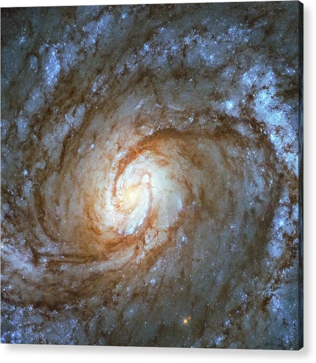 Messier 100, Spiral Galaxy / Art Photo - Acrylic Print