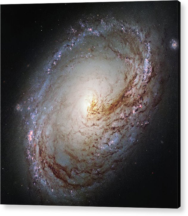 Messier 96, a Spiral Galaxy / Art Photo - Acrylic Print