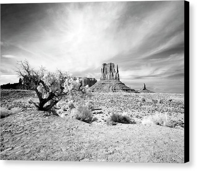 Monument Valley, Arizona / Art Photo - Canvas Print