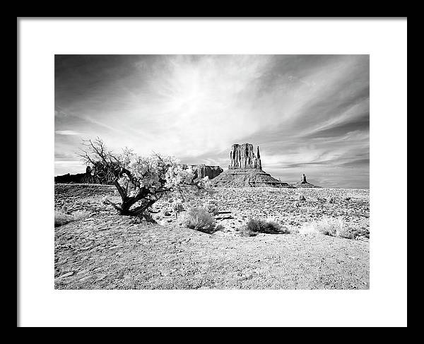 Monument Valley, Arizona / Art Photo - Framed Print