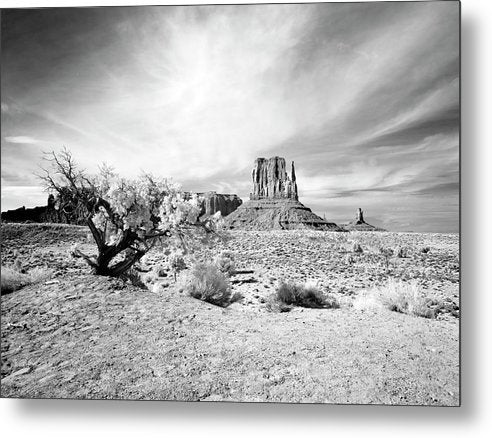 Monument Valley, Arizona / Art Photo - Metal Print