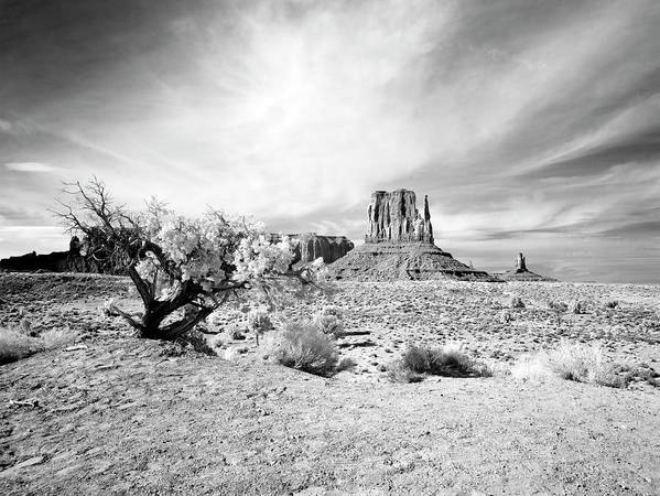 Monument Valley, Arizona / Art Photo - Art Print