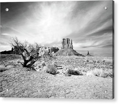 Monument Valley, Arizona / Art Photo - Acrylic Print