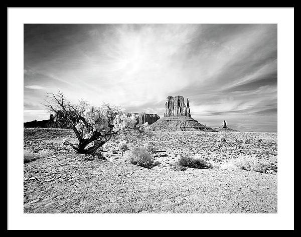 Monument Valley, Arizona / Art Photo - Framed Print