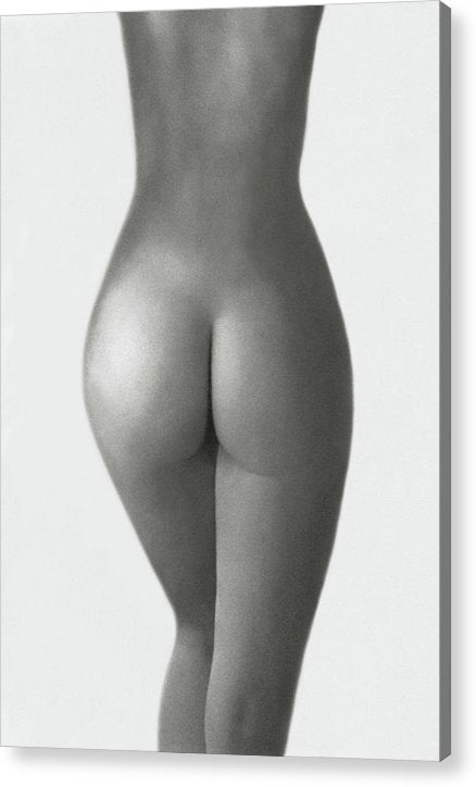 Nude Study 