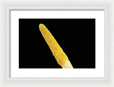 Orontium Aquaticum / Art Photo - Framed Print