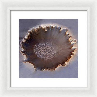 Planet Mars - detail #r25 / Art Photo - Framed Print