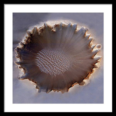 Planet Mars - detail #r25 / Art Photo - Framed Print