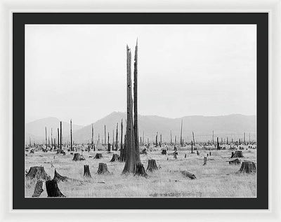 Priest River Valley, Idaho / Art Photo - Framed Print