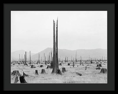 Priest River Valley, Idaho / Art Photo - Framed Print