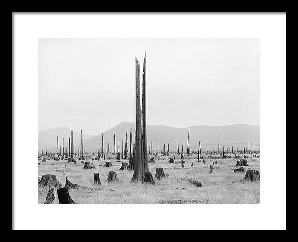 Priest River Valley, Idaho / Art Photo - Framed Print