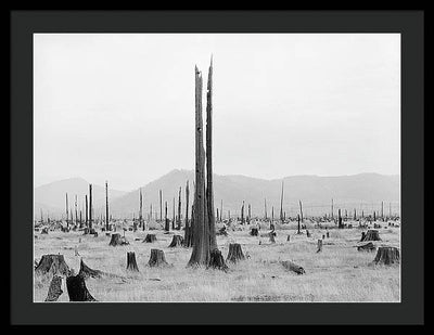 Priest River Valley, Idaho / Art Photo - Framed Print