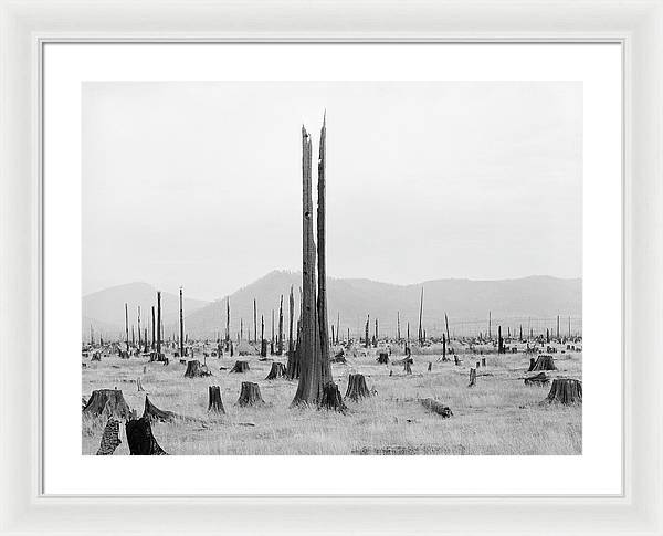 Priest River Valley, Idaho / Art Photo - Framed Print