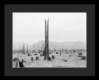 Priest River Valley, Idaho / Art Photo - Framed Print