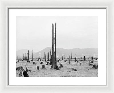 Priest River Valley, Idaho / Art Photo - Framed Print